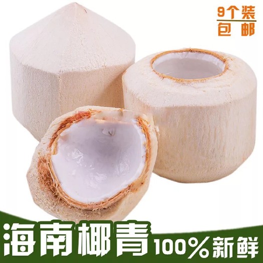 海口文椰2号 精品新鲜海南椰青