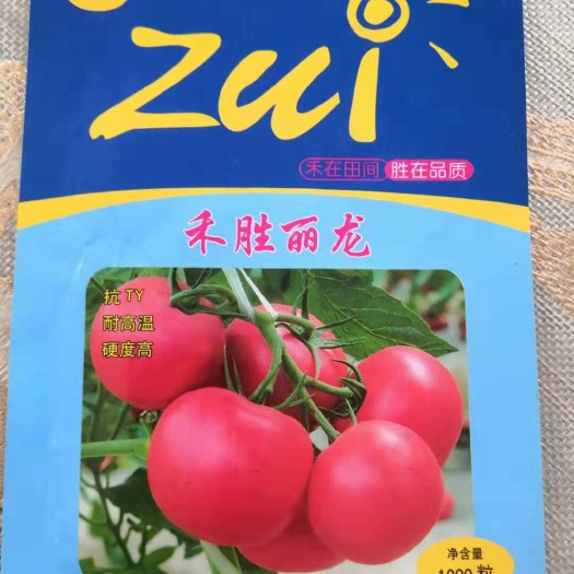莒南县硬粉番茄种子 ≥95% 杂交种 ≥85% 