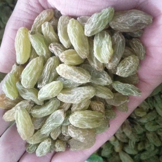 吐鲁番新疆绿葡萄干 一等 
