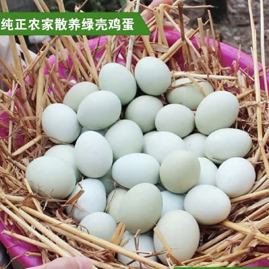 成都绿壳鸡蛋 箱装 食用 