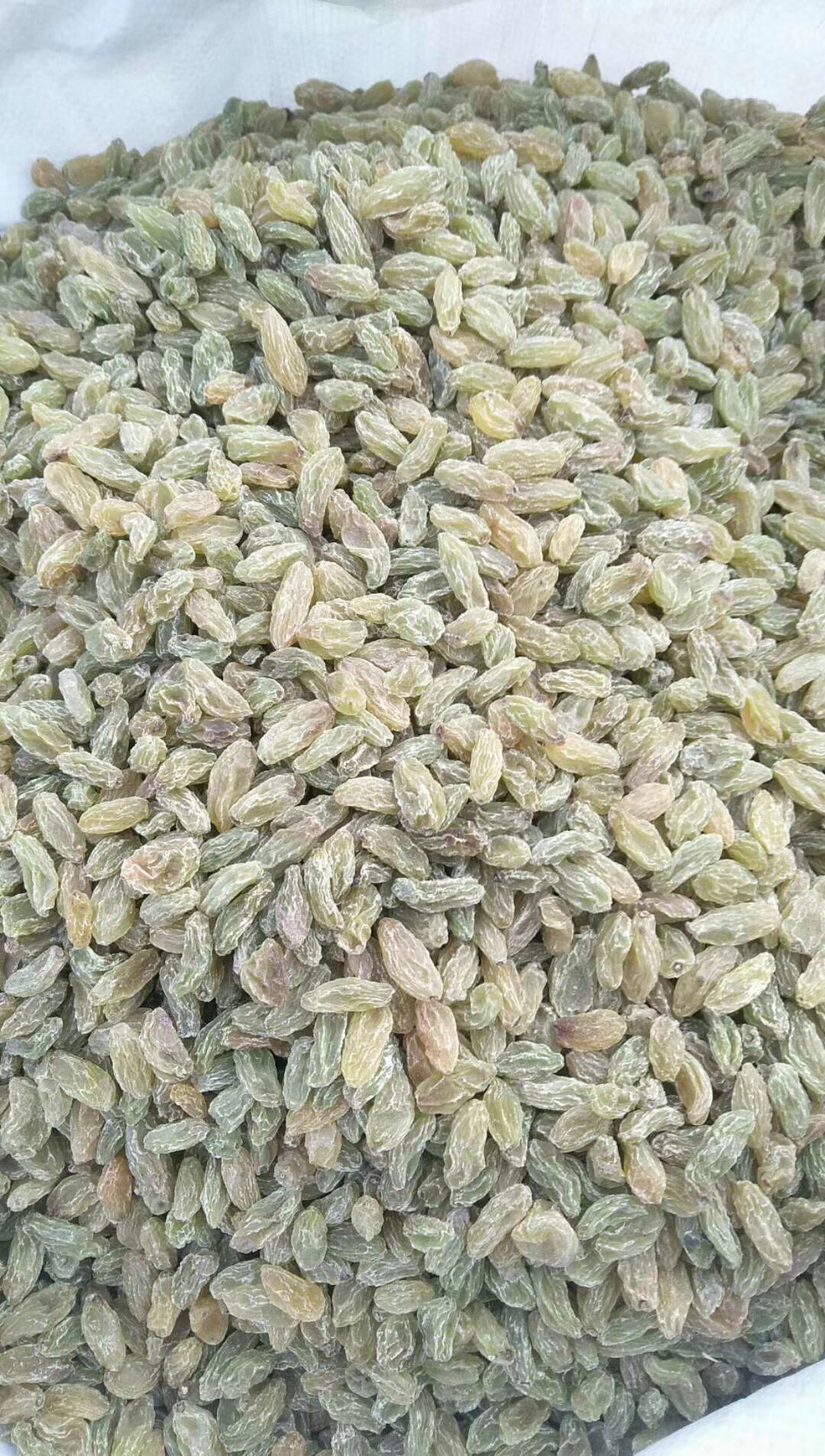 新疆绿葡萄干 一等 
