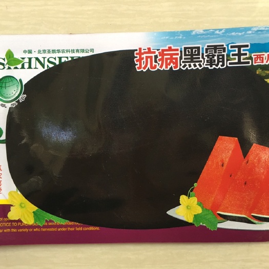 沭阳县黑美人西瓜种子