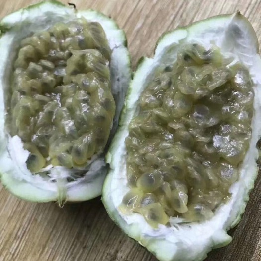 灵山县荔枝味百香果苗
