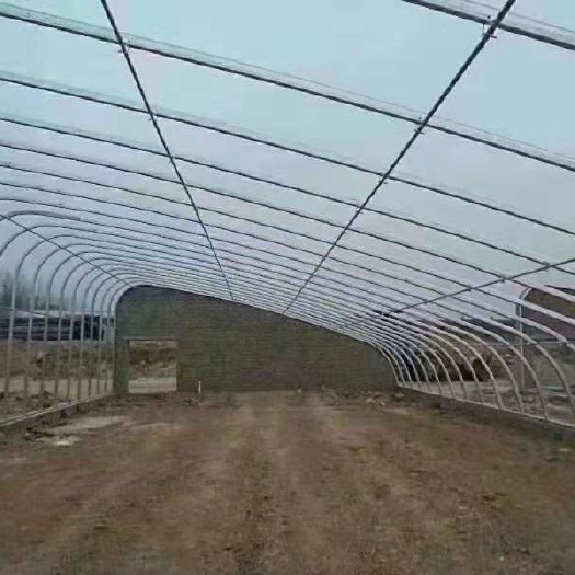 南皮县种植大棚 