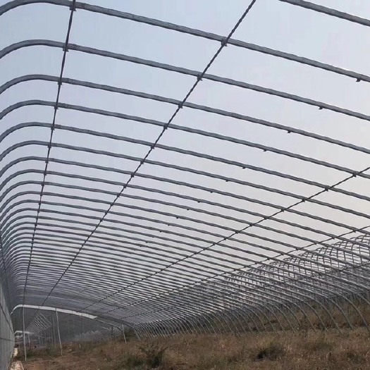 沭阳县蔬菜大棚 