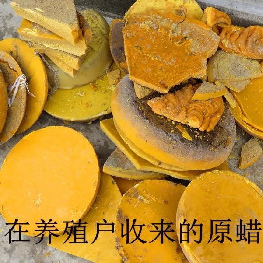 长葛市蜂蜡 24个月以上 蜂蜡