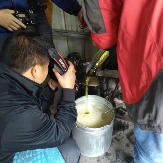三江县压榨一级山茶油 