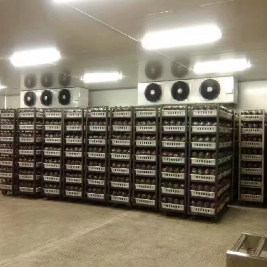 成都冷藏库租赁 专业承建安装冷库