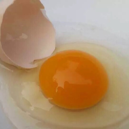 石家庄土鸡蛋 散装 食用 