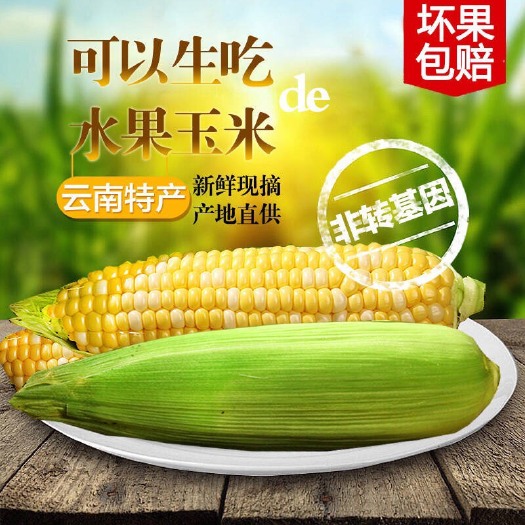 富民县 云南特产水果玉米
