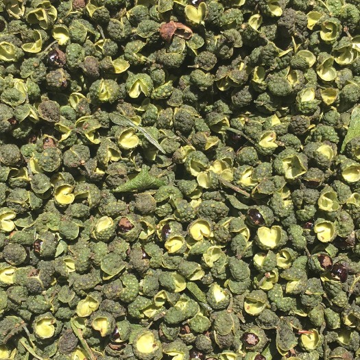 重庆市大红袍花椒 一级 干花椒 