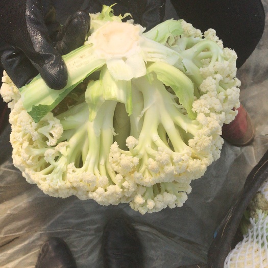 东台市白花菜花 松散 江苏省盐城市东台市 2~3斤