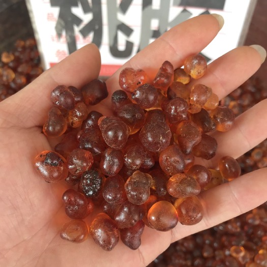 玉林 桃胶 纯野生 无杂质机器打磨珍珠桃胶