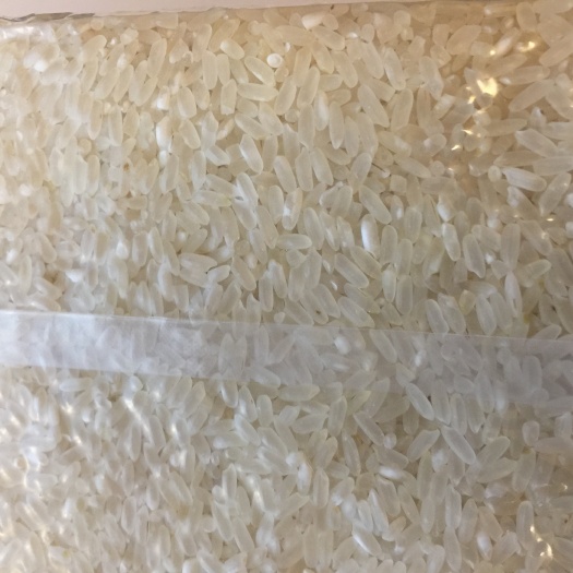 永吉县东北大米 一等品 一季稻 粳米 