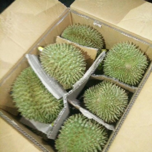 凭祥市 泰国榴莲加工厂，需要整柜，切柜的联系