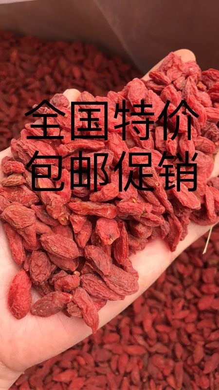黄山红枸杞 特优级 宁夏