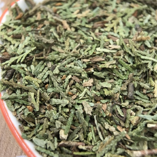 玉林柏树果 侧柏叶