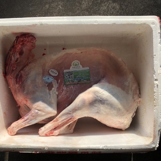 额尔古纳白条羊 生肉 