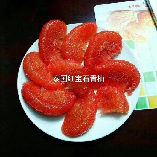 平和县暹罗柚苗
