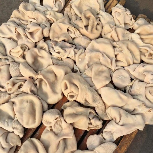 柘城县羊肚