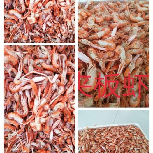 滨州虎虾  夹板虾，爪虾