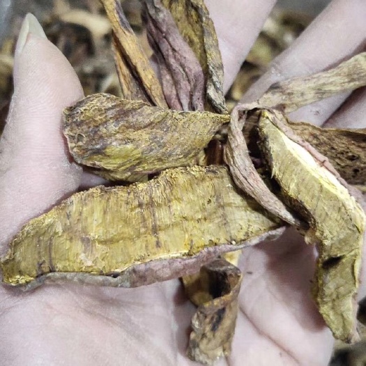 文山市黑牛肝菌 野生牛肝菌 干牛肝菌