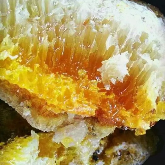 深圳蜂巢蜜 2年以上  塑料瓶装