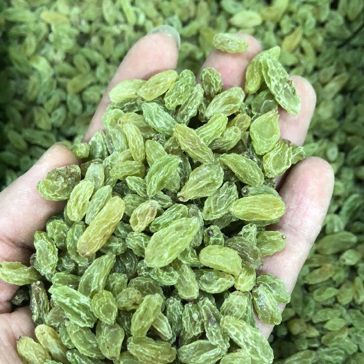 郑州新疆绿葡萄干 一等