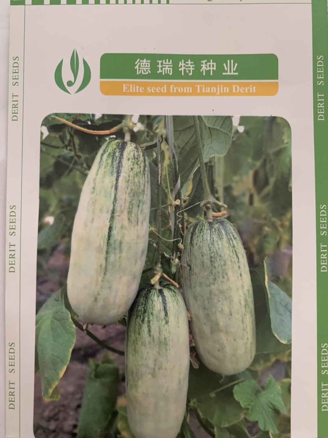 博洋72羊角蜜甜瓜种 杂交种 ≥85%