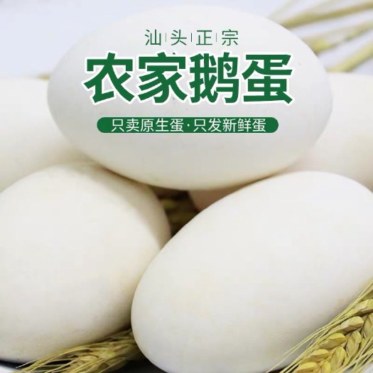 昌黎县土鹅蛋 食用 箱装