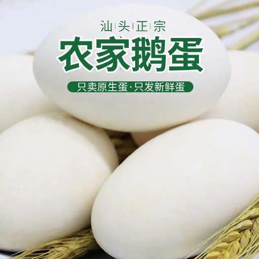 昌黎县土鹅蛋 食用 箱装