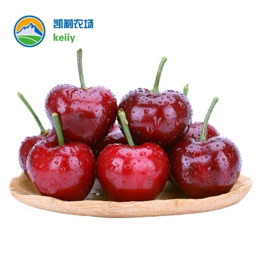 瓦房店市美早樱桃 5J