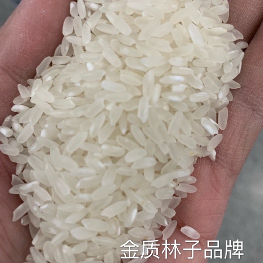 白城东北大米 一等品 一季稻 粳米