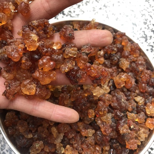 随州桃胶 12-18个月