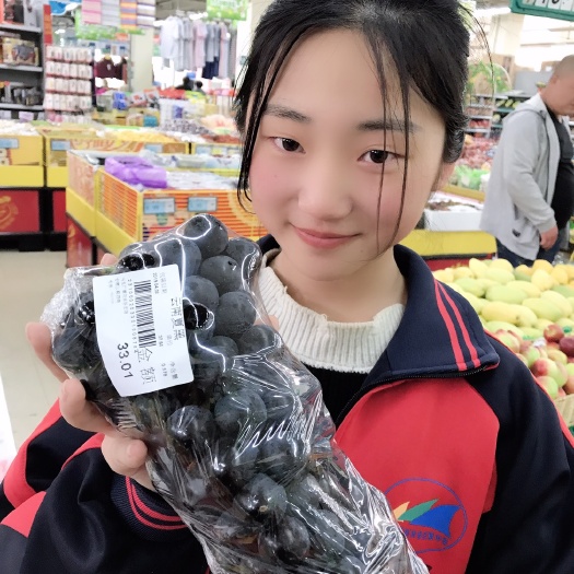卢龙县黑珍珠葡萄苗