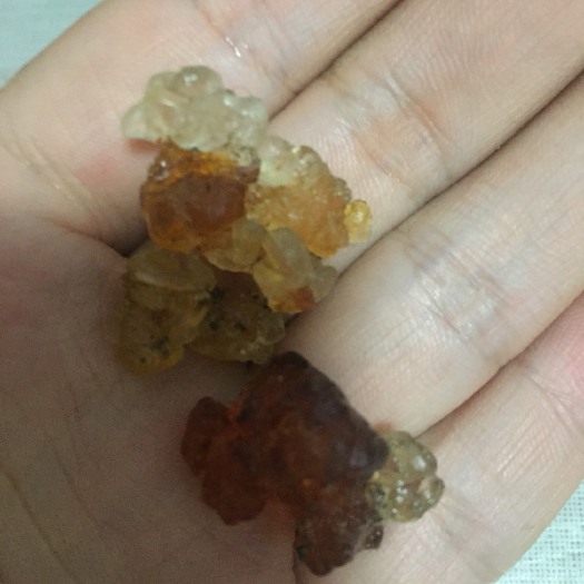 枣阳市桃胶 6-12个月