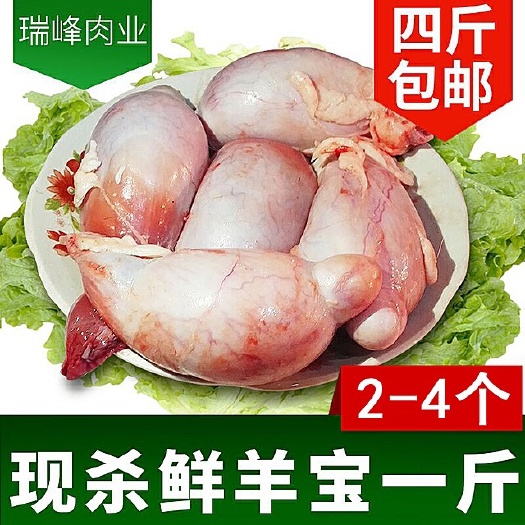 乐清市羊宝