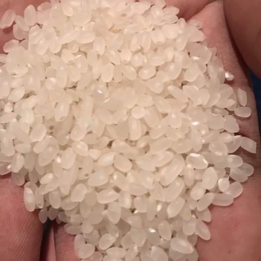 延吉市贡米 一等品 晚稻 粳米
