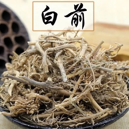 单县白前 白花前胡统货
