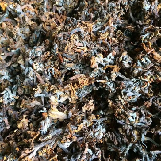 新田县羊踯躅 全花干货