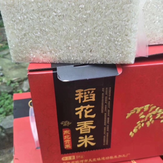 宁波五常江米 一等品 晚稻 粳米