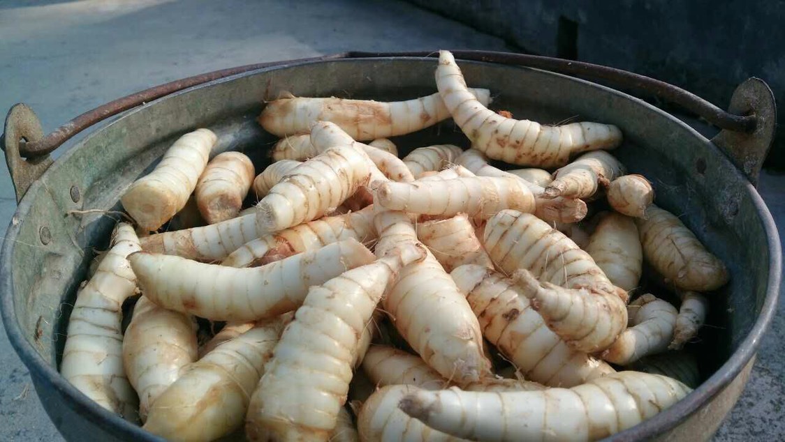 漳州山芋粉 竹薯粉
