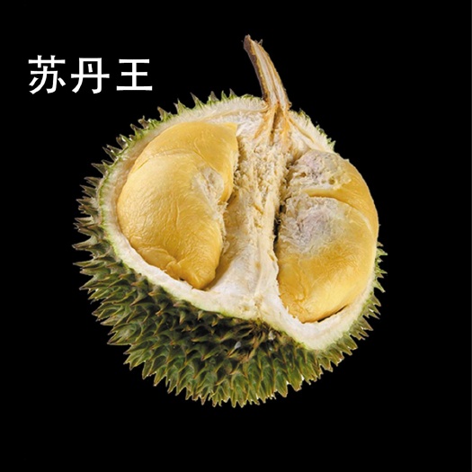 济南D24榴莲 2 - 3公斤 90%以上