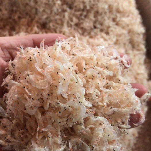 九江虾皮 12-18个月