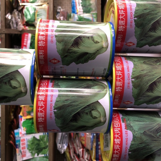 香港蔡兴利益农四季特选大坪埔大肉包心芥 酸菜泡菜 咸菜种子