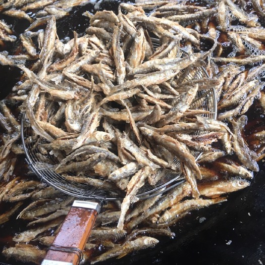 贺州蓝刀鱼