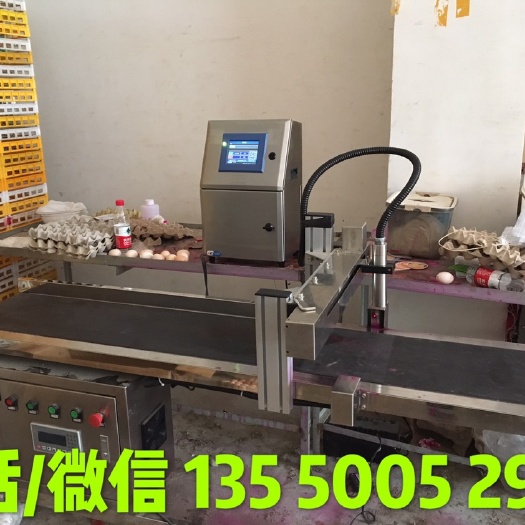 成都普通鸡蛋 没有，供应鸡蛋喷码机