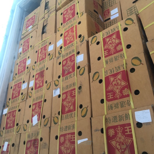 南宁金枕头榴莲 50 - 60%以上 3 - 4公斤
