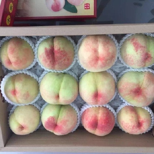 无锡 正宗阳山水蜜桃自产自销