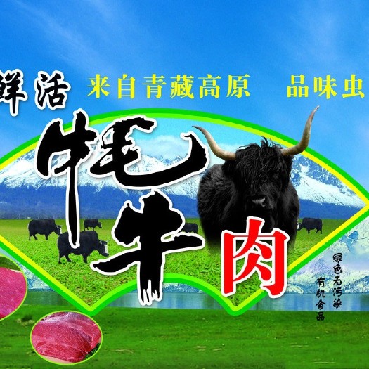 藏族牦牛肉 生肉